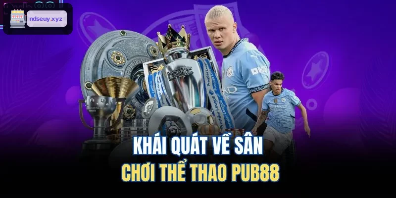 Khái quát về sân chơi thể thao FO88